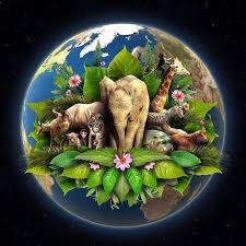 El día de la tierra nos recuerda la urgente necesidad de intensificar la lucha contra 4. Conversatorio Para Ninos Acerca De La Evolucion Del Planeta Tierra Agosto 2020 Guatemala Com