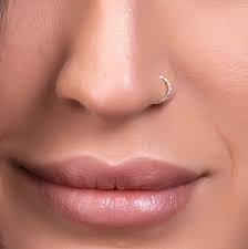 60 Best Nose Piercing Ideas Inspirations For 2021 In 2021 Nose Piercing Nose Piercing Hoop Fake Nose