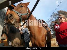 Valerie Dent adjusts a saddle