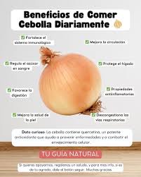 Vivir - Por✍️Tu Guía Natural **¿Sabías que un alimento tan común como la  cebolla puede tener poderosos beneficios para tu salud si la consumes todos  los días?** Aunque a menudo la asociamos