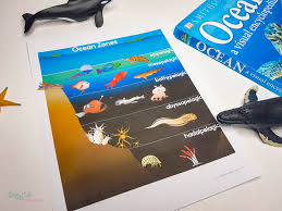 Click on it to get a larger version. Ocean Zones Worksheets For Kids