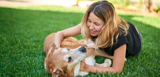 We did not find results for: Pet Cremation Melbourne Adelaide Edenhills Pet Cremations