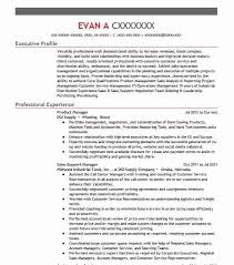 professional product manager resume