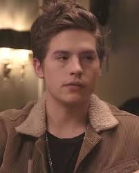 One person is in custody. Dylan Sprouse Wikipedia