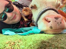 A little Alaska dump