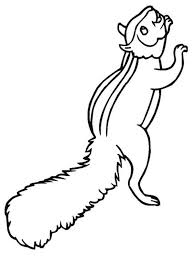 Let your child color the squirrel. Squirrel Coloring Page 1001coloring Com