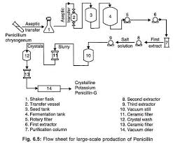 Penicillin Biosynthesis Structure Fermentation Process