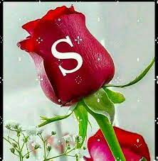 Gucuflbkvgxjlvlcxocohxzochdhv0 Alphabet Wallpaper Rose Flower Wallpaper Flower Wallpaper