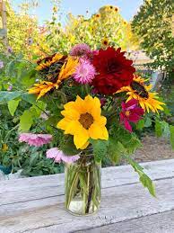 This increases the stem's cut surface area and maximizes water uptake. How To Create A Simple Beginner Cut Flower Garden Julia Dimakos
