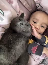 North side business owners with poster space?