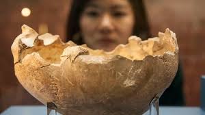 El Paleógeno, la vida después de la extinción de los dinosaurios