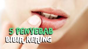 5 Penyebab Bibir Kering Zat Kimia Lipstik Bisa Jadi Pemicunya Cek Faktanya Youtube