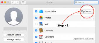 Check icloud drive to turn it on, and make sure to do this on all the devices—macs and ios—that you you may need more storage, especially if you have a lot of photos, or if you want to store lots of files on icloud drive. How To Stop Icloud From Syncing Desktop Folders And Documents Appletoolbox