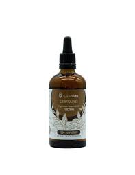 Image result for Cryptolepis