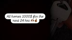 Image result for anglický setr lawerak