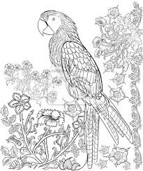 Dessin A Lencre Dessinee A La Main Livre A Colorier Pour Adulte Autocollants Murales Imprimable Coloration Mandala Myloview Fr