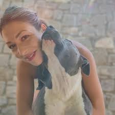 AllevamentoAmstaffBluLovingHeart (@allevamentoamstafflovingheart) ·  Giugliano in Campania