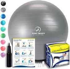 Amazon Com Probody Pilates Exercise Ball Professional Grade Anti Burst Fitness Balance Ball For Yoga Birt In 2020 Ball Exercises Training Fitness Gym Balance Ball