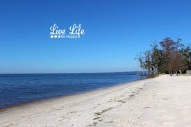 Fun Things To Do At Fontainebleau State Park Lake Pontchartrain Louisiana Near New Orleans Lake Pontchartrain State Parks Fontainebleau