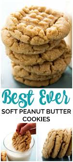 Peanut Butter Cookie Recipe A Dash Of Sanity Recipe Soft Peanut Butter Cookies Chewy Peanut Butter Cookies Best Peanut Butter Cookies