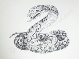 Drawing snake snake drawing line drawing lines hand painted painting pattern cartoons flowers background cute patterns shading sketch color cartoon symbol template classic. How To Draw A Snake In A Few Easy Steps With Pictures Snake Drawing Snake Sketch Snake Art