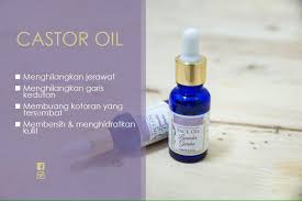 A:face oil and collagen serum. Lavender Garden Skin Cares Mary Jardin By Thehananis