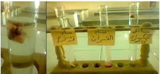 باحث مغربي يحاول فك لغز الطاقة في ماء زمزم