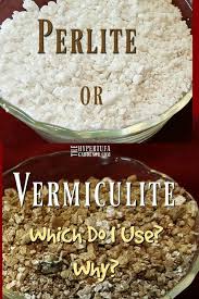 What S It Gonna Be Vermiculite Or Perlite For Hypertufa What About In Soil The Hypertufa Gardener Hypertufa Garden Soil Container Water Gardens