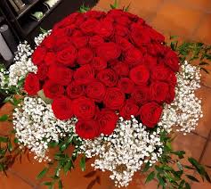 Directed by steve sekely, freddie francis. Home Blumen Meckert