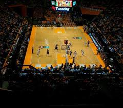 Thompson Boling Arena Section 313 Tennessee Volunteers