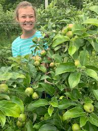 Pleasant View Orchard and Bakery