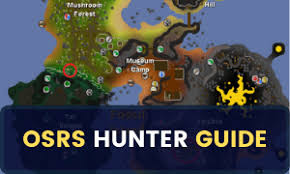 Vamos hacer la quest the corsair curse español en runescape. Osrs Fishing Training Guide From Level 1 To 99