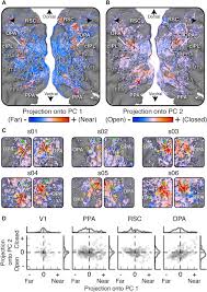 Solo films, amazing single xxx, solo granny masturbatin. Human Scene Selective Areas Represent 3d Configurations Of Surfaces Sciencedirect