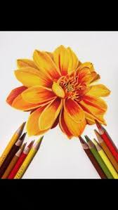 500 Colored Pencils Ideas In 2020 Colored Pencils Color Pencil Art Colored Pencil Techniques