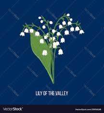 Lily of the valley convallaria majalis spring Vector Image