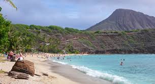 | this wide, curved bay of turquoise waters protected by a coral reef and backed by palm trees is a gem, especially for. Snorkeling Hanauma Bay Go Early For Less Crowds And More Fish