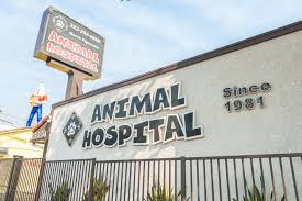 Jul 24, 2020 · highland animal hospital is great! Nfah
