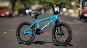 20 mongoose mode 100 boys' steel freestyle bmx bike with 4 wheel pegs for stunts & tricks to perform in the neighborhood, blue/gray. These Are The Best Bmx Bikes For Kids Bike Perfect