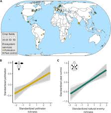 Custer county weed pestpest control servicestermite inspection. A Global Synthesis Reveals Biodiversity Mediated Benefits For Crop Production Science Advances
