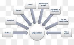 Maybe you would like to learn more about one of these? A Sarcopenia Fundo Png Imagem Png A Sarcopenia Atrofia Muscular Envelhecimento Velhice Longevidade Png Transparente Gratis