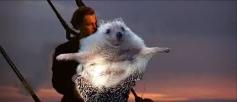 Titanic Biddy Photoshop Pics Photo Titanic