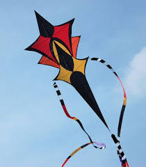 delightful ochre color palette on this kite multiple wings and an extended tail portion turn the kite into a low aspect ratio d go fly a kite kite designs kite