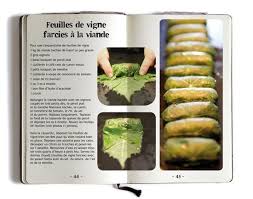 Recette Avec Feuilles De Capucines Recherche Google Feuille De Vigne Farcie Feuille De Vigne Feuille