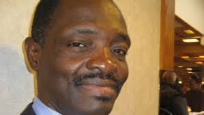 Opinions-Nouvelles: LES PRIMES DES LIONS INDOMPTABLES par Albert Nguidjol