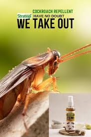 Herbal Cockroach Repellent Just Out Have No Doubt We Take Out Shop Online Https Www Herbalstrategi Cockroach Repellent Termite Repellent Repellent