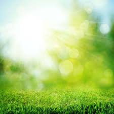 We did not find results for: What You Need To Know About Sod And Summer Heat Duda Sod