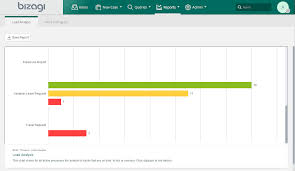 automation server reports and process analytics bam