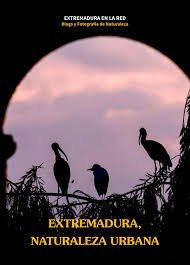 Los resultados han dado todos negativos, aunque hay signos de seroprevalencia. Extremadura Naturaleza Urbana By Extremadura Turismo Issuu