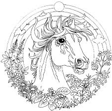 Colorare Mandala Disegno Un Bel Cavallo Da Colorare