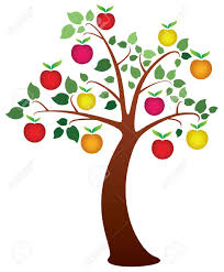 An indoor bonsai tree is a dwarf shrub that yields even in its early stage of growth. Vector Apple Tree With Fruits Royalty Free Cliparts Vectors And Stock Illustration Image 8509763